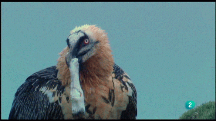 La aventura del Saber - Bosque de Ordesa