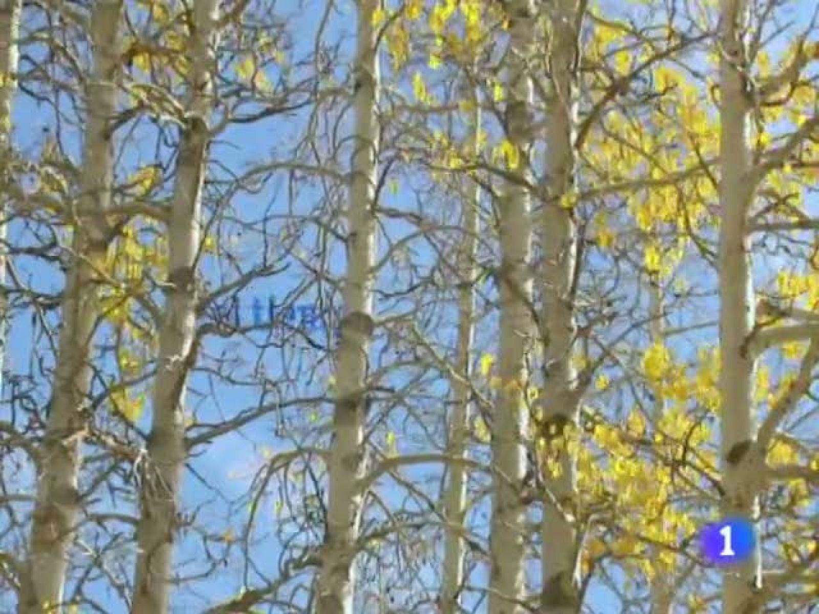 El tiempo en la Comunidad de Galicia - 17/10/11