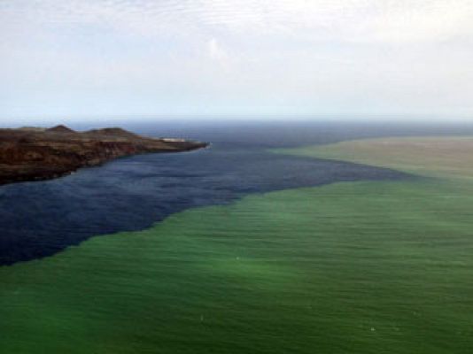 Telediario 1 - Investigaciones en El Hierro