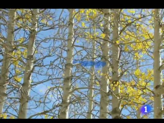 Informativo Telerioja - El tiempo en La Rioja - 17/10/11