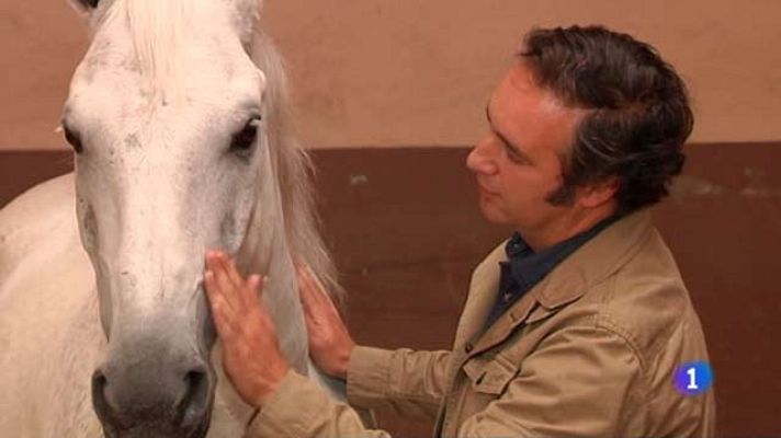 +Gente - El negocio de la terapia equina