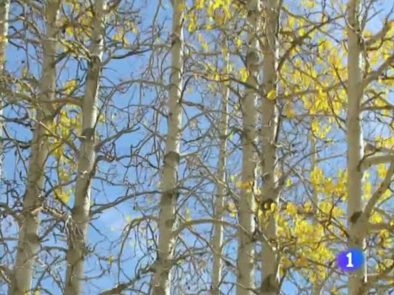 El tiempo en la Comunidad de Galicia - 18/10/11