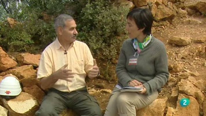 Para todos La 2 - La evolución del talento