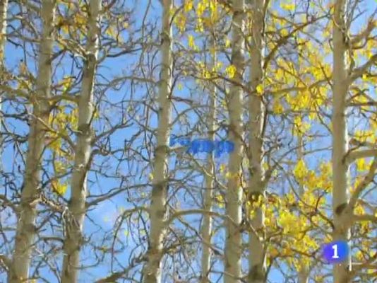 TeleCantabria - El tiempo en Cantabria - 18/10/11