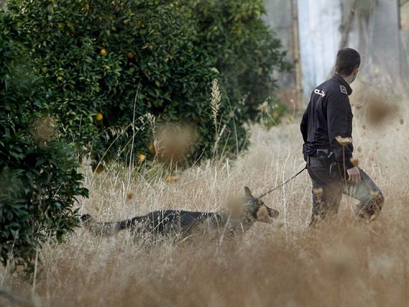 Telediario Matinal en cuatro minutos - 19/10/11 | Ver