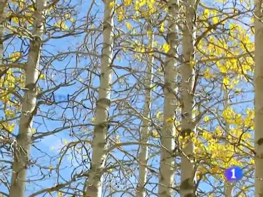 Telexornal - Galicia - El tiempo en Galicia - 19/10/11