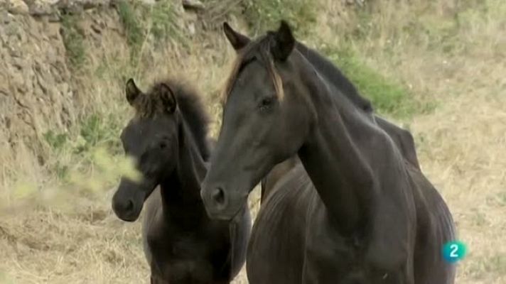 Biodiario - Biodiario - 19/10/11