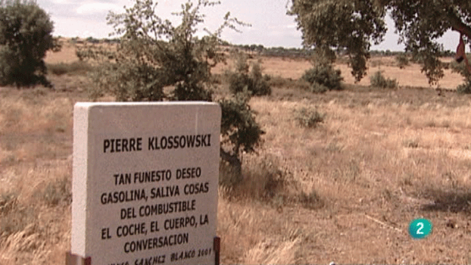 La aventura del saber. Reportaje: Morille