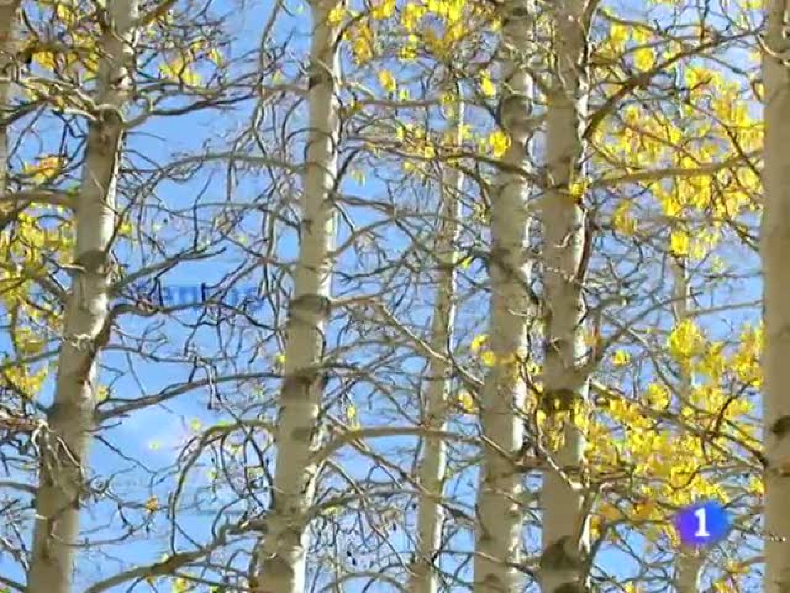 El tiempo en la Comunidad de Galicia - 20/10/11