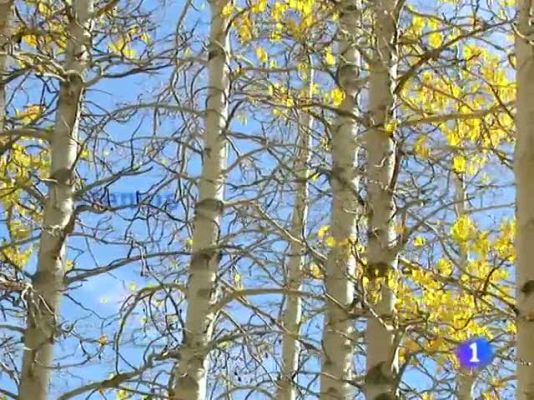 Telexornal - Galicia - El tiempo en la Comunidad de Galicia - 20/10/11