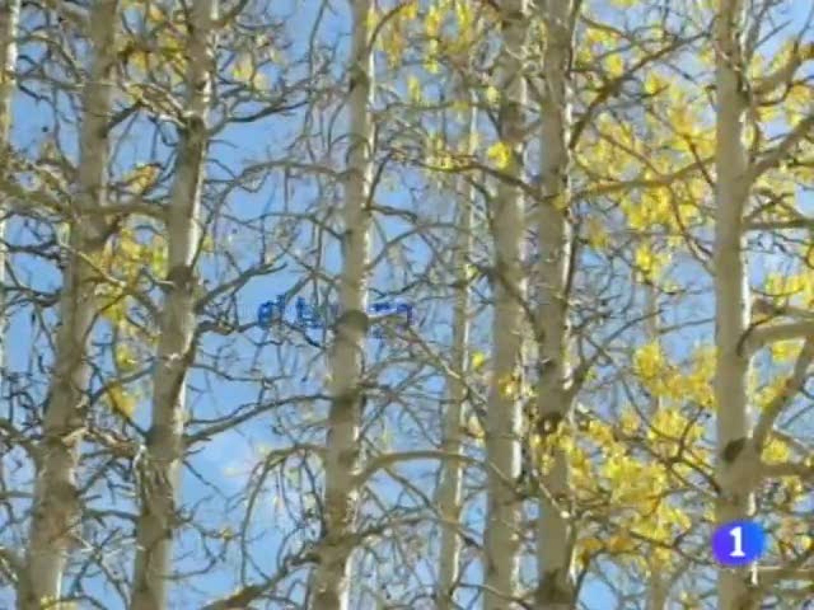 El tiempo en Andalucía - 20/10/11 | Ver