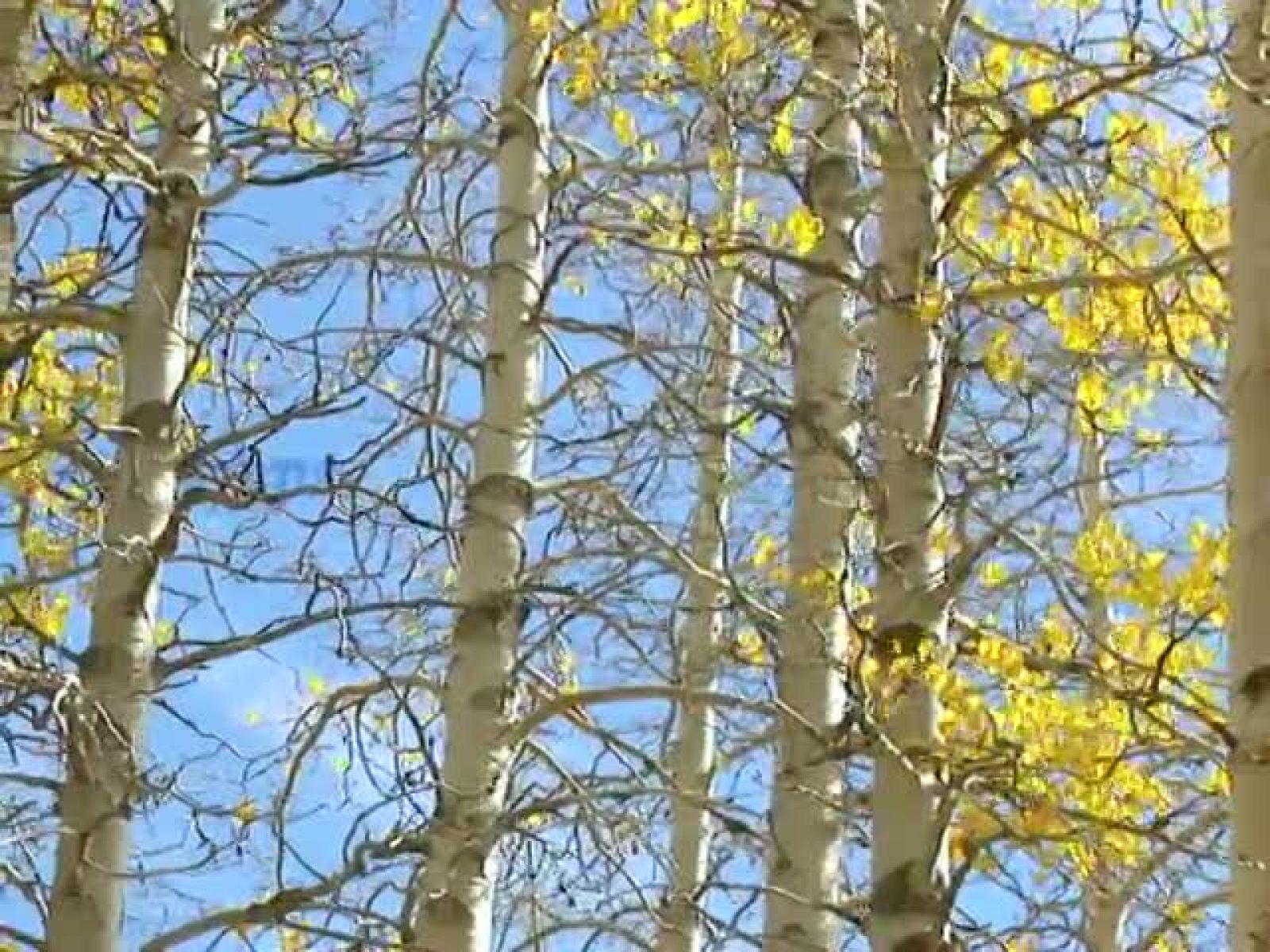 El tiempo en la Comunidad de Galicia - 21/10/11