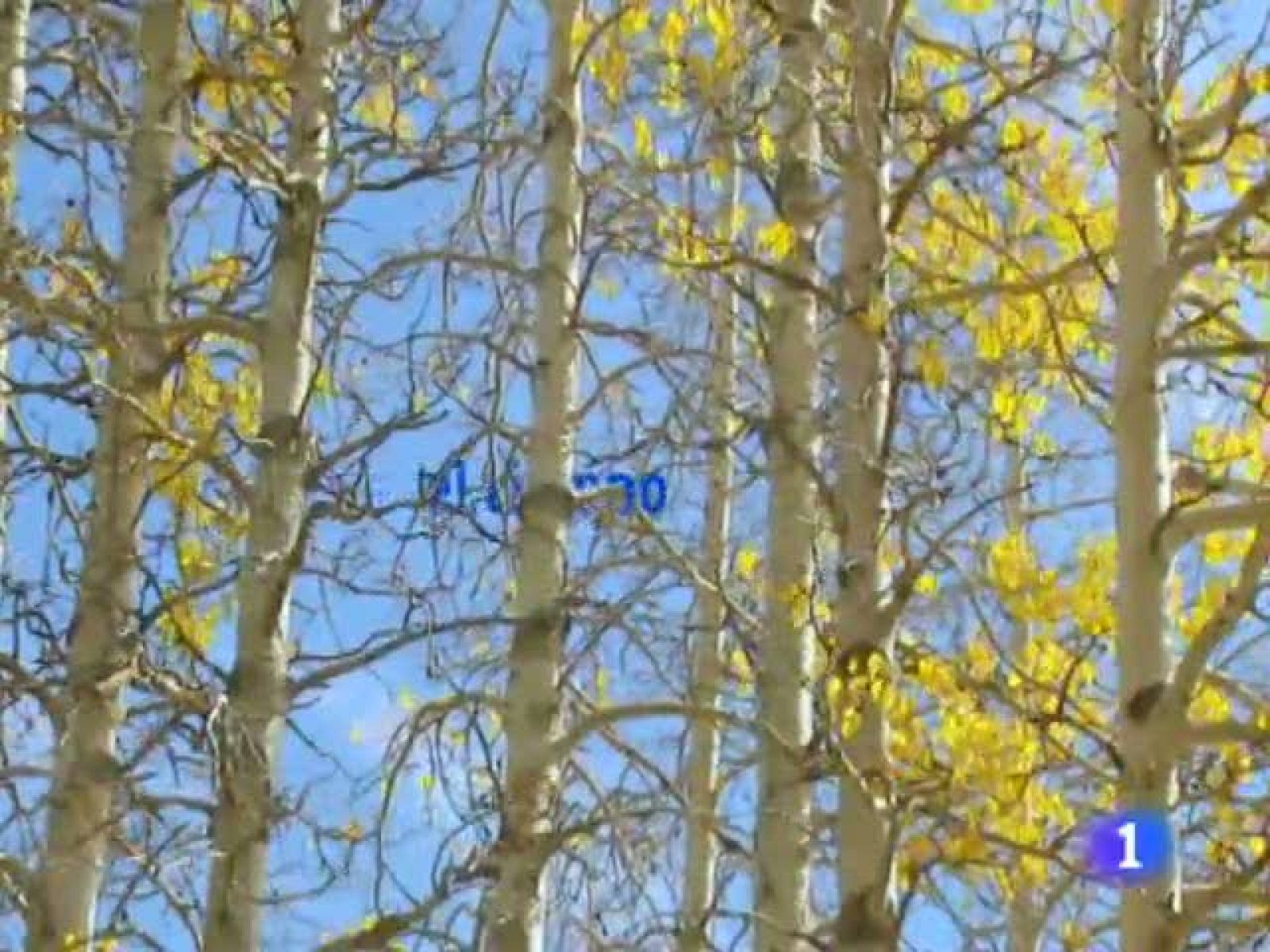 El tiempo en la Comunidad de Cantabria - 21/10/11