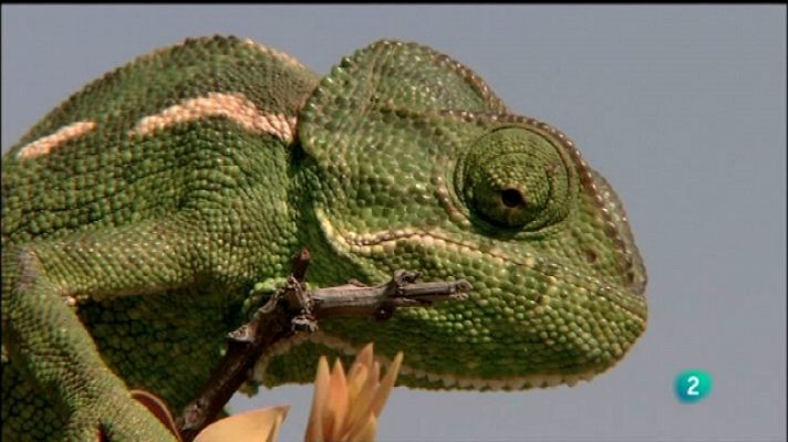 Biodiario - Biodiario - 23/10/11