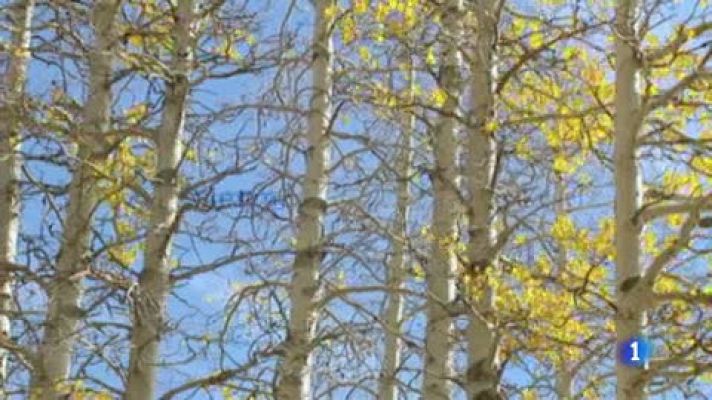 El tiempo - Casi 50 provincias empezarán la semana en alerta por fuertes lluvias y vientos