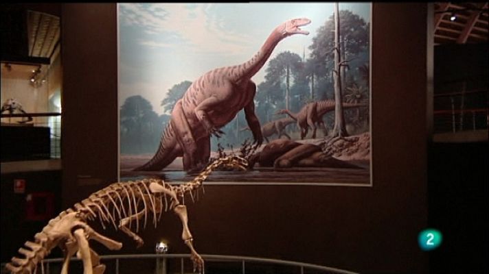 La aventura del Saber - La aventura del saber - 24/10/11