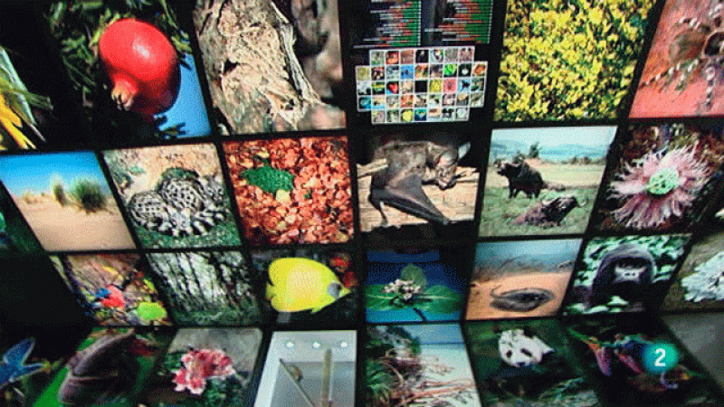 La aventura del saber. Centro de Biodiversidad de Euskadi