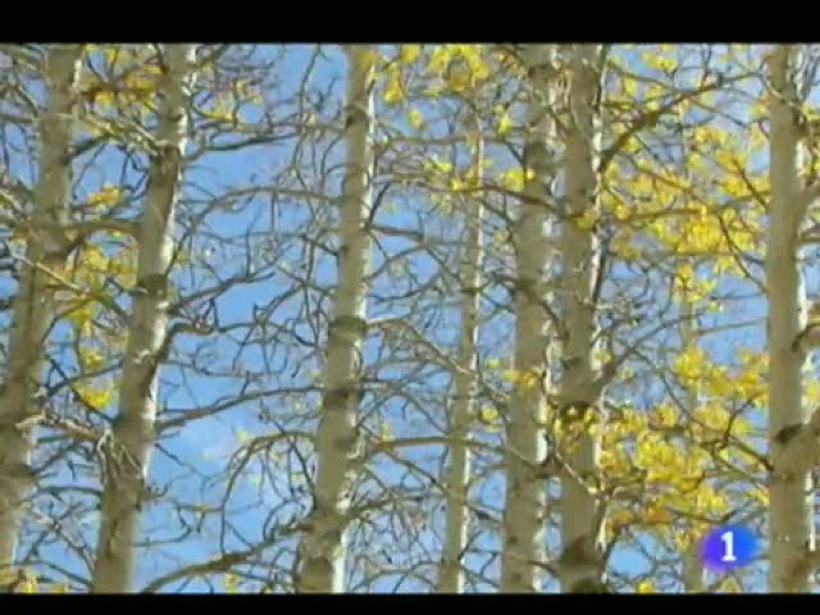 El tiempo en la Región de Murcia. (24/10/2011).