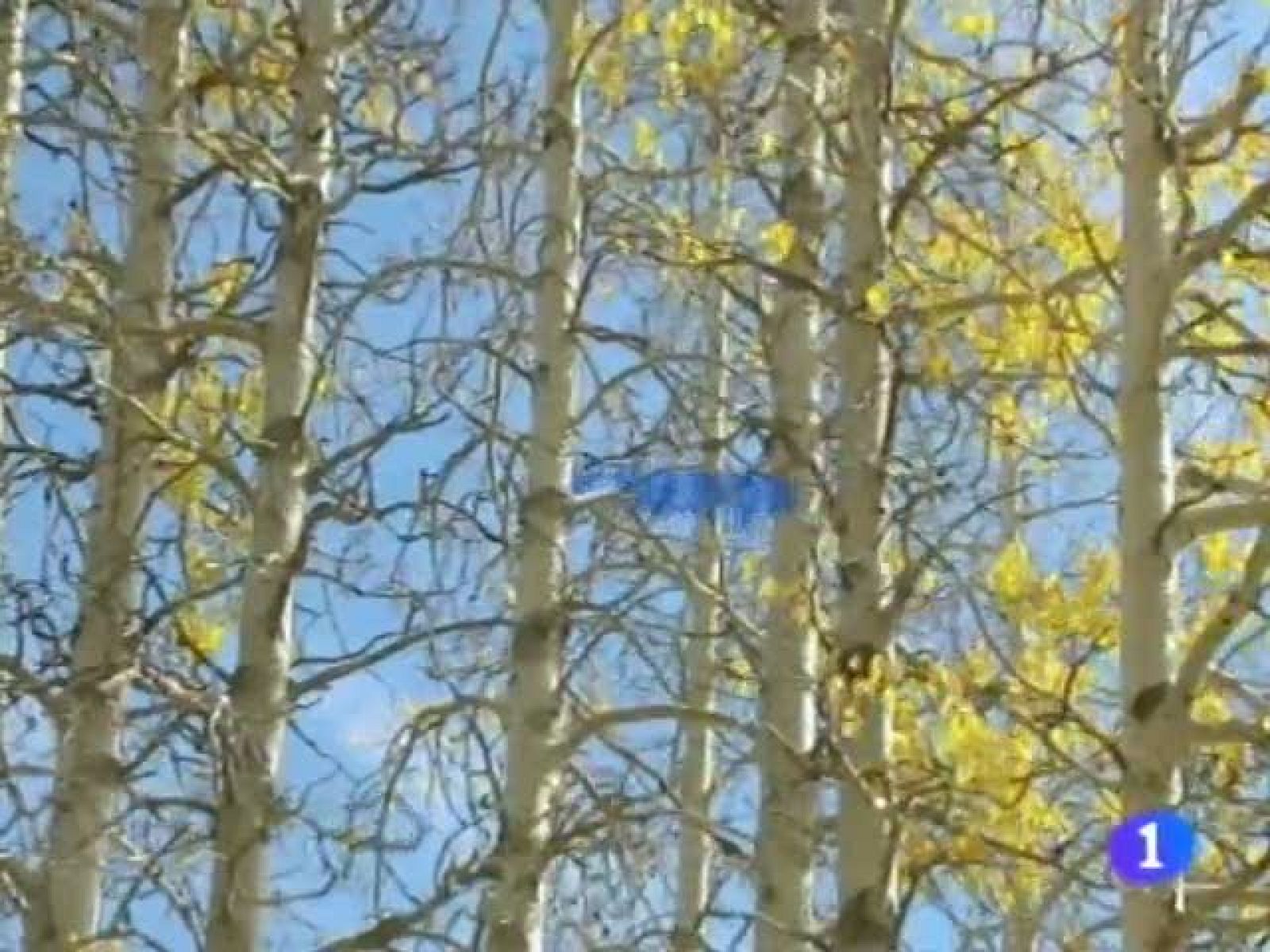 El tiempo en Andalucía - 24/10/11 | Ver