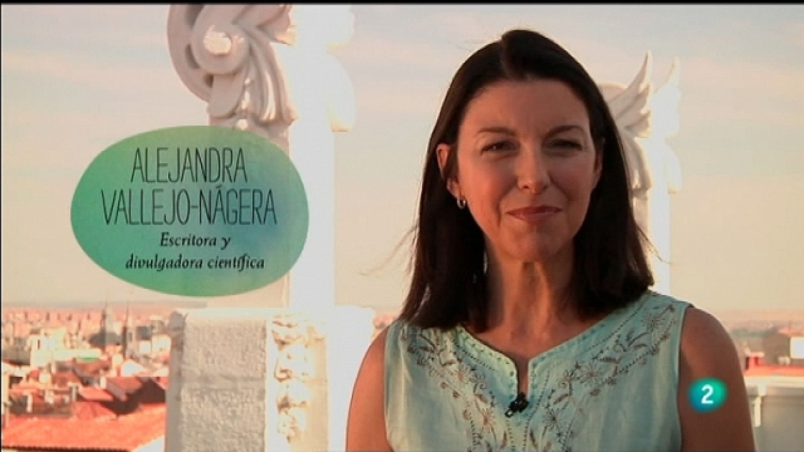 La felicidad (en cuatro minutos) - Saber mirar - Ver ahora