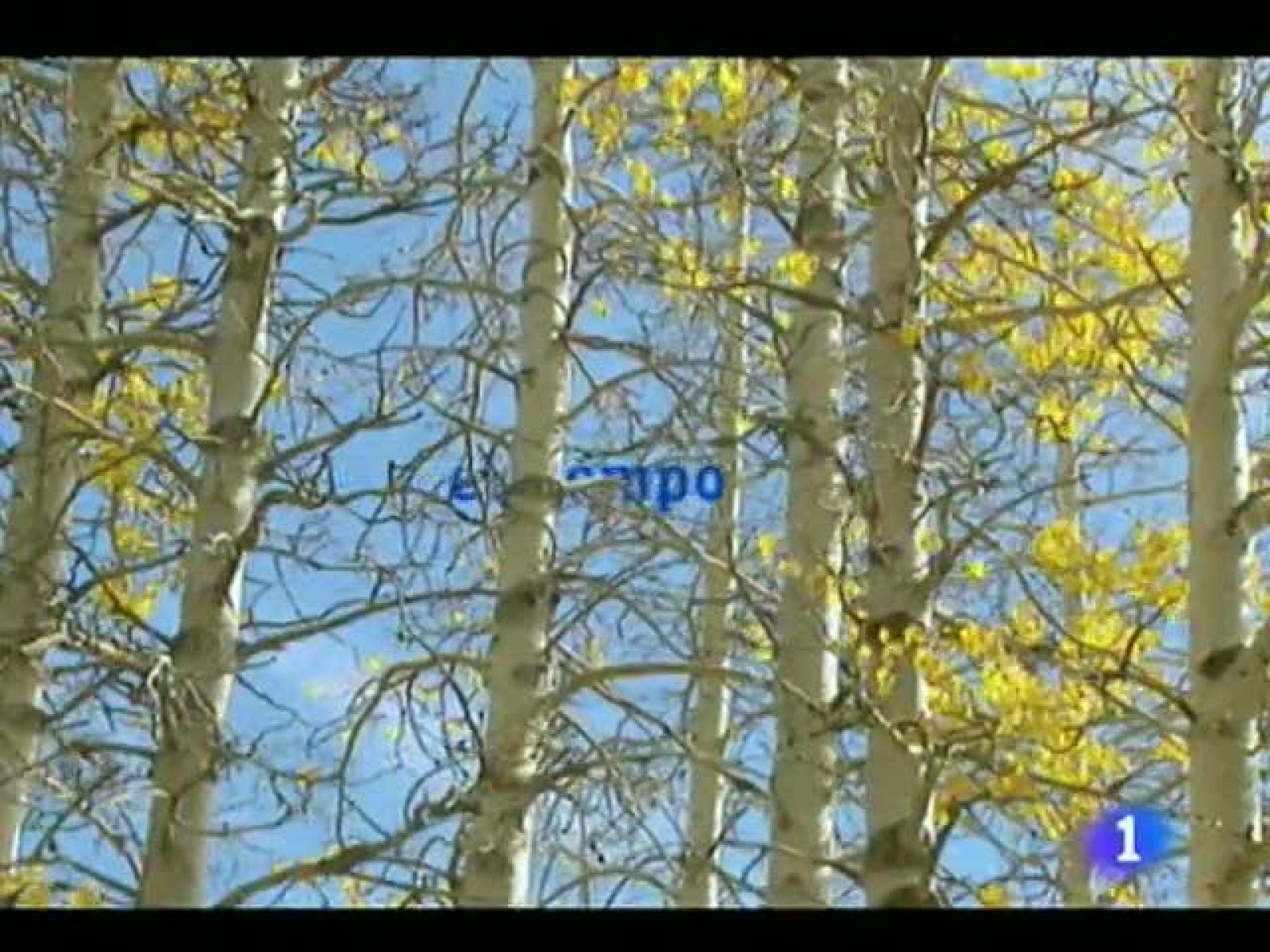 El tiempo en Canarias - 24/10/11 | Ver