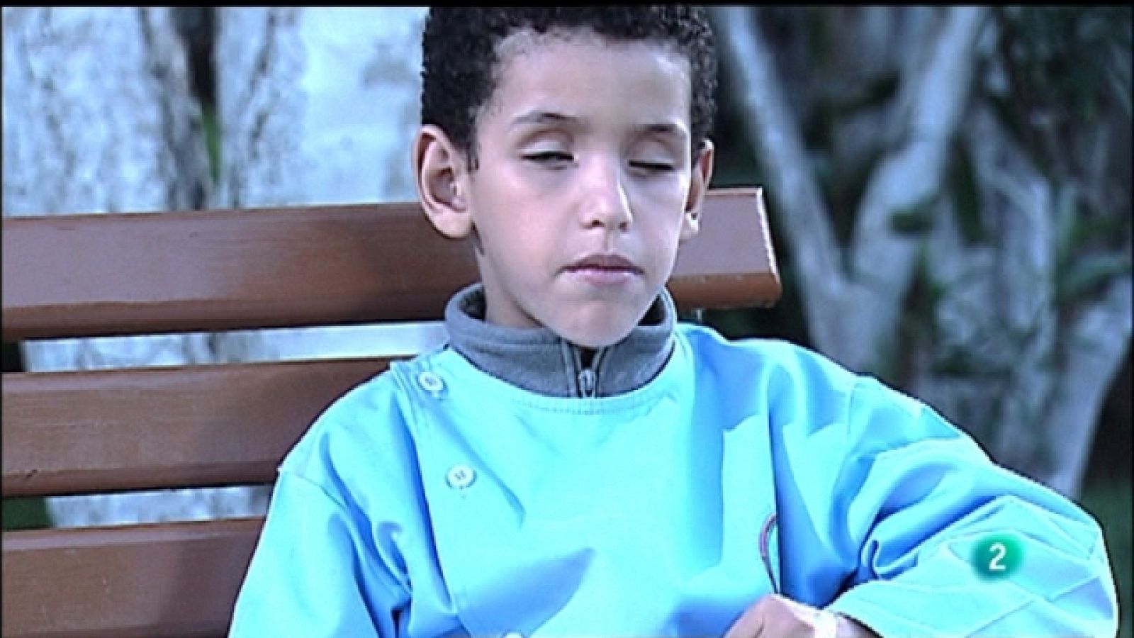 La aventura del saber - 25/10/11 - Ver ahora