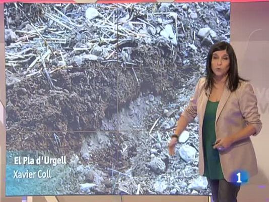 L'Informatiu - El temps - 25/10/11