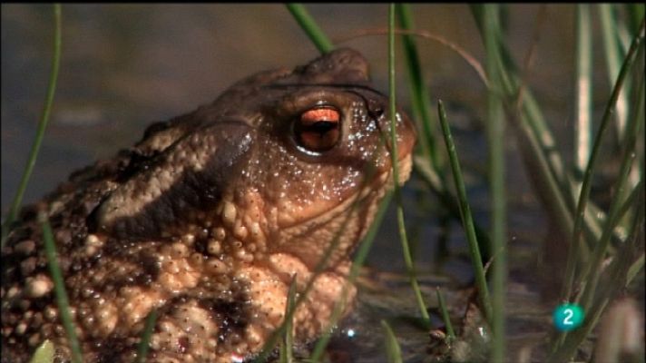 Biodiario - Biodiario - 25/10/11