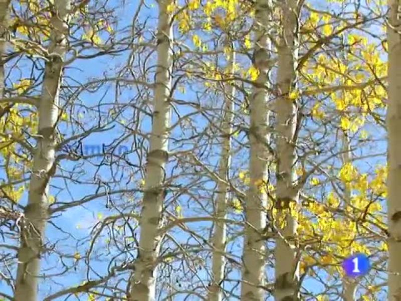 El tiempo en Galicia - 26/10/11