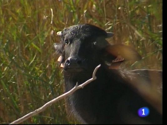 Noticias Aragón - Noticias Aragón - 26/10/11