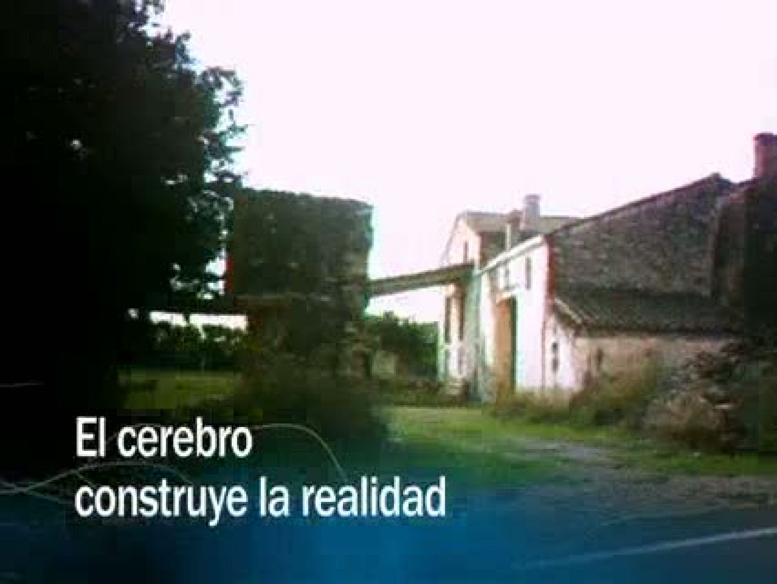 Redes - El cerebro construye la realidad - avance