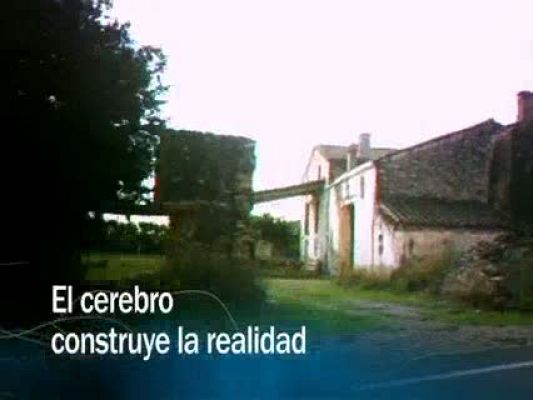 Redes - Redes - El cerebro construye la realidad - avance