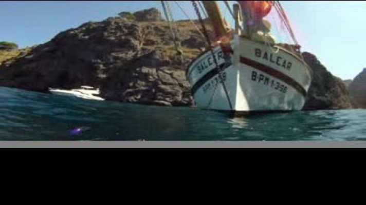 El escarabajo verde - Tramuntana, una sierra de libro