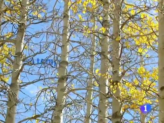 Telexornal - Galicia - El tiempo en Galicia - 27/10/11