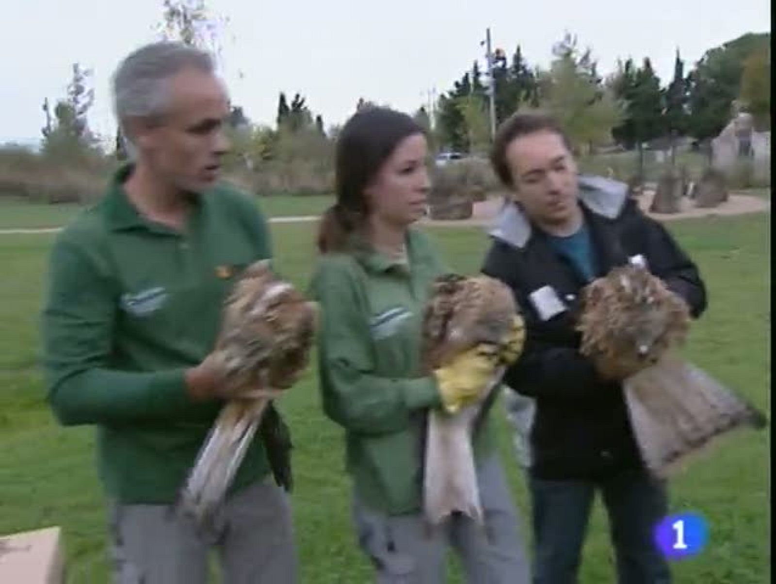 Noticias Aragón - 27/10/11 | Ver