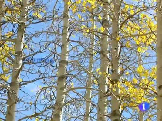 Telexornal - Galicia - El tiempo en Galicia - 28/10/11