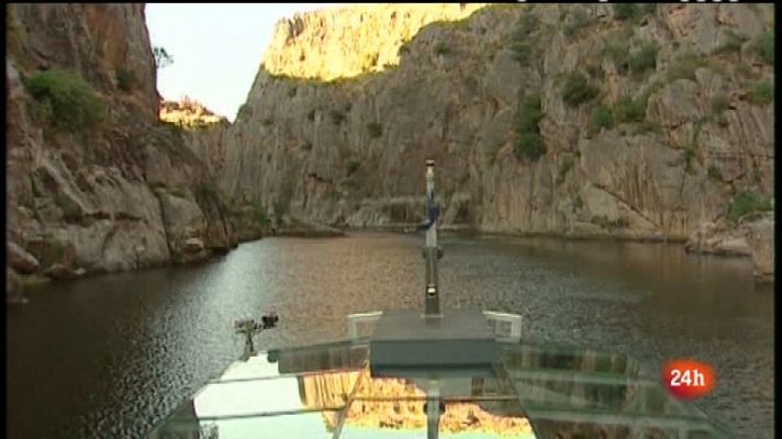 Zoom Tendencias - Pequeños placeres. Cuida a tu perro