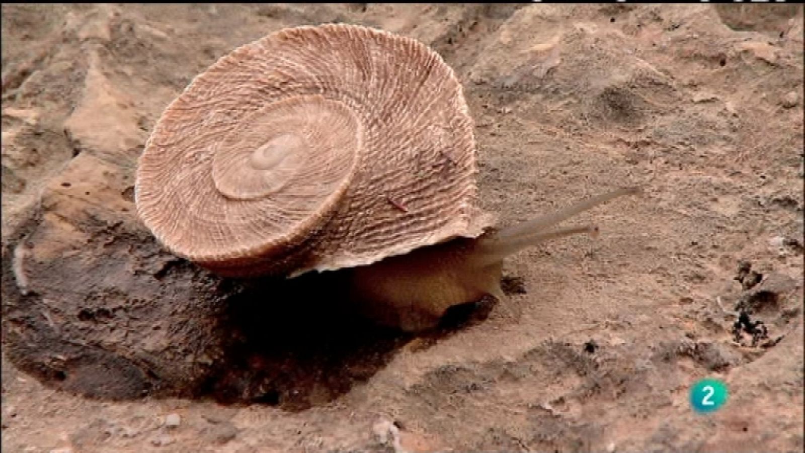 Biodiario - 30/10/11 - Ver ahora