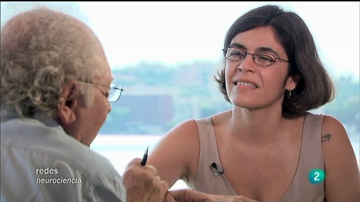 Redes - El cerebro construye la realidad