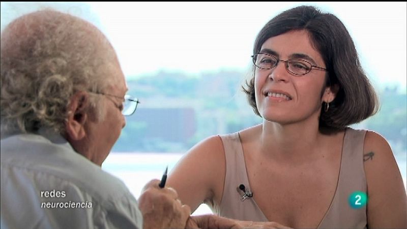 Redes - El cerebro construye la realidad