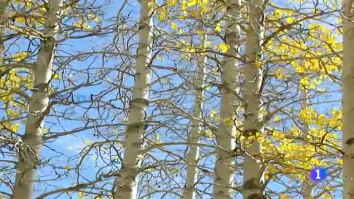 Telexornal - Galicia - El tiempo en Galicia - 31/10/11