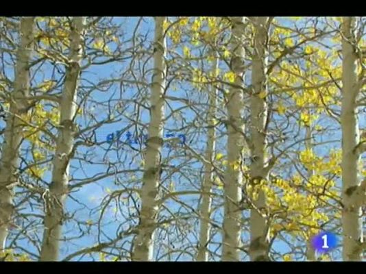 Telecanarias - El tiempo en Canarias - 31/10/11