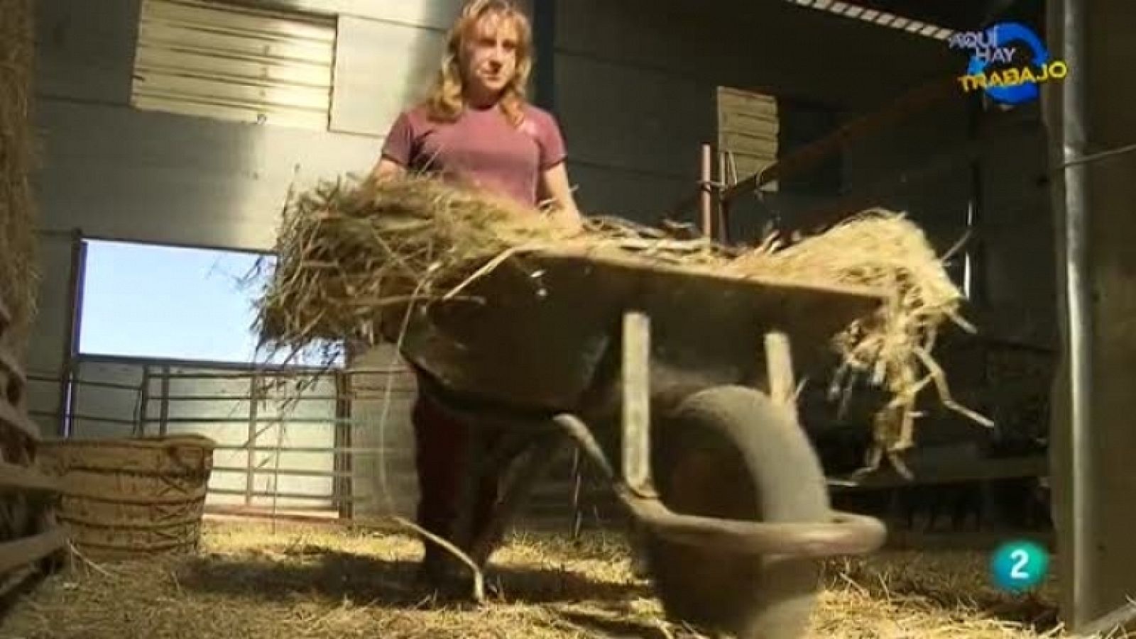 Aquí hay trabajo - 02/11/11 - Ver ahora