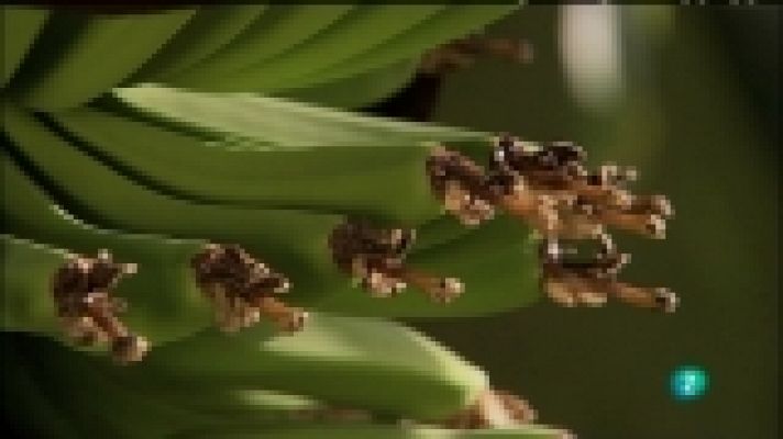 Biodiario - Biodiario - 02/11/11