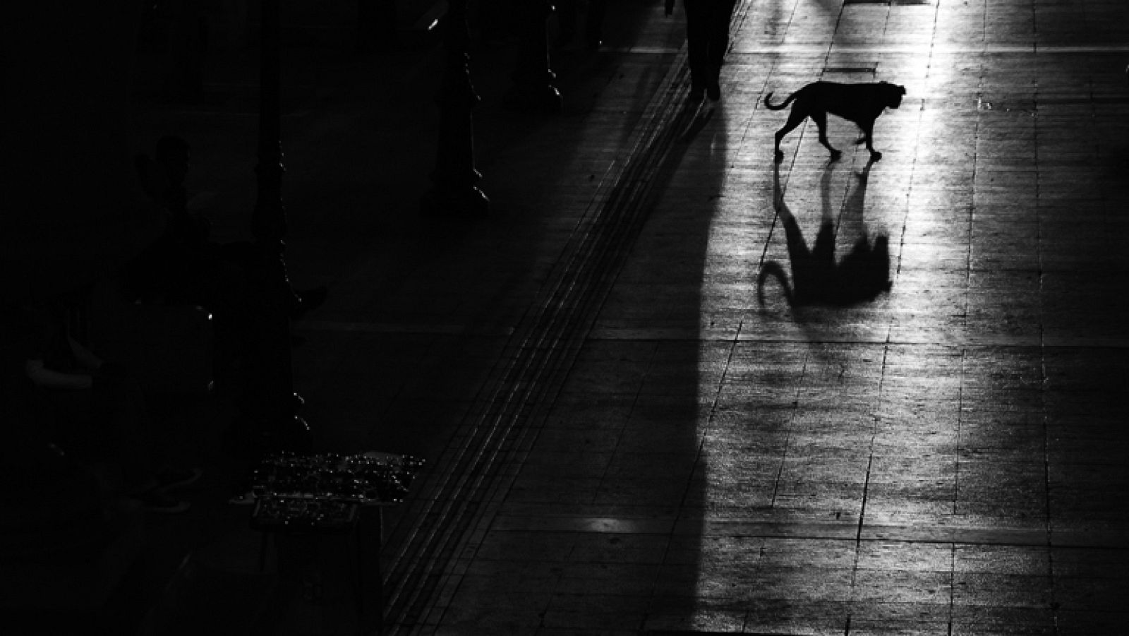 En Portada - Sintagma - Avance - En portada | Ver