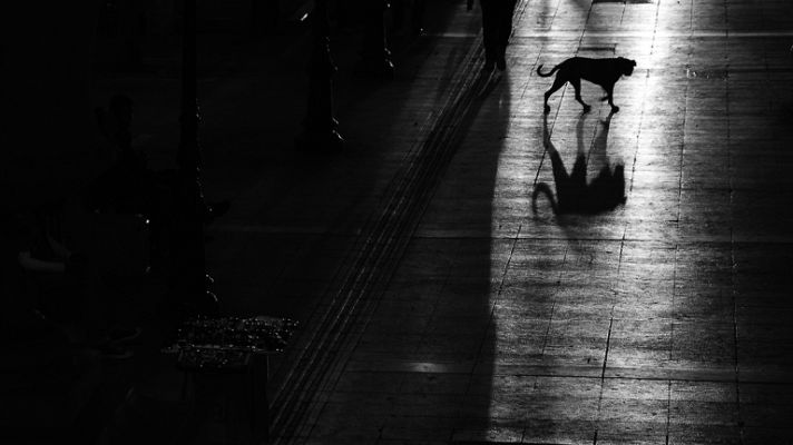 En portada - Sintagma - Avance