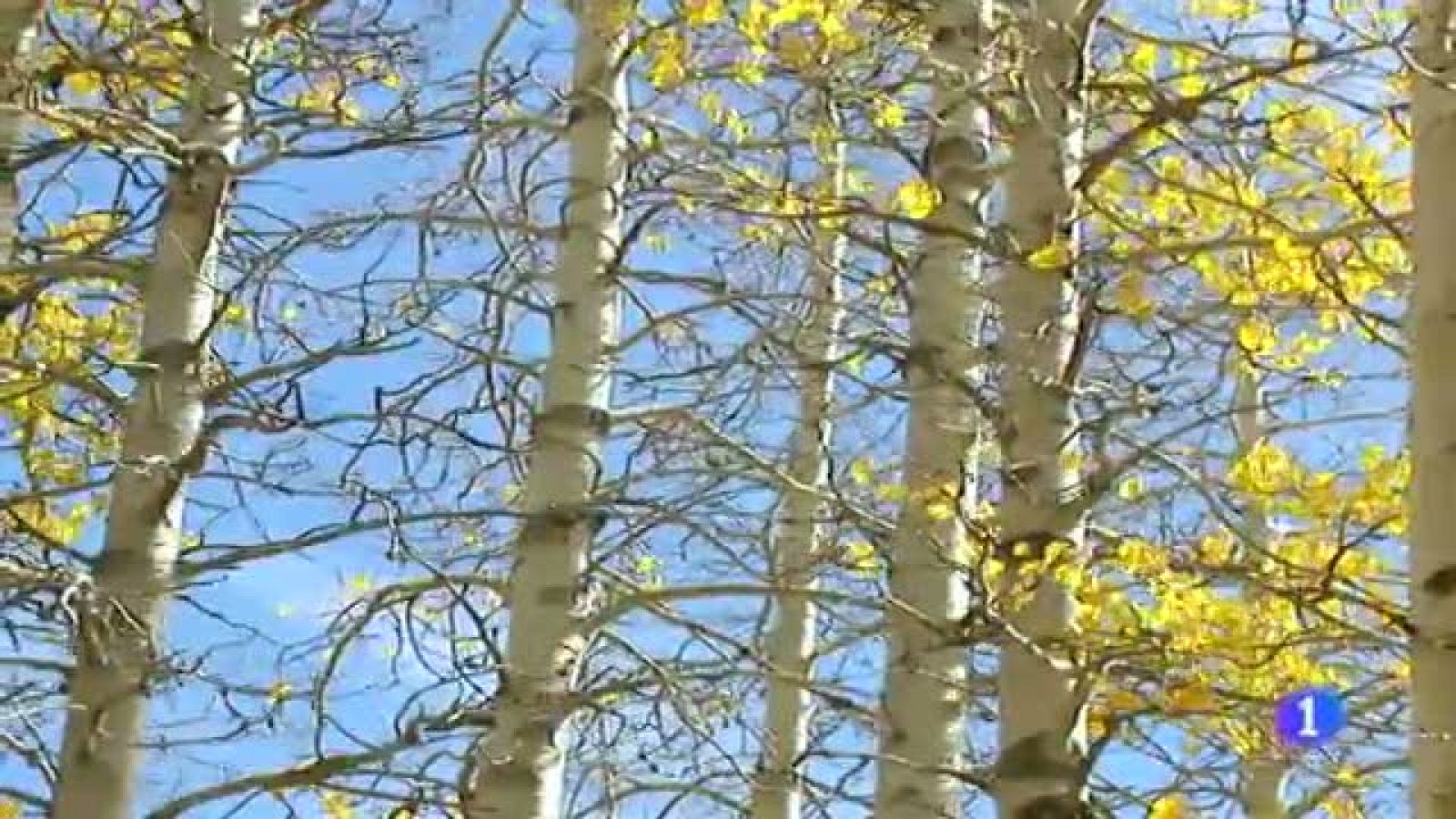 Telexornal. Informativo territorial de Galicia. (03/11/11).