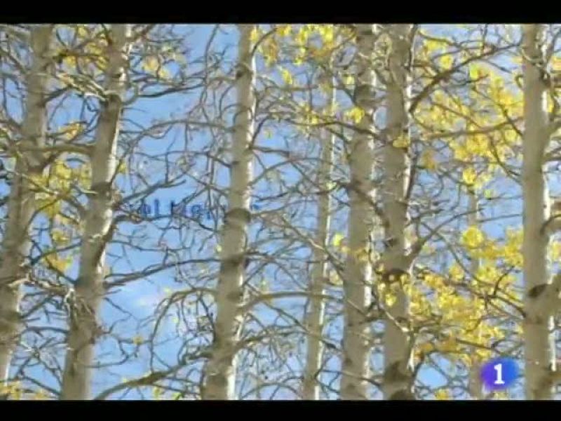 El tiempo en Castilla y León - 03/11/11