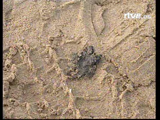  - El fuel llega a la Malvarrosa