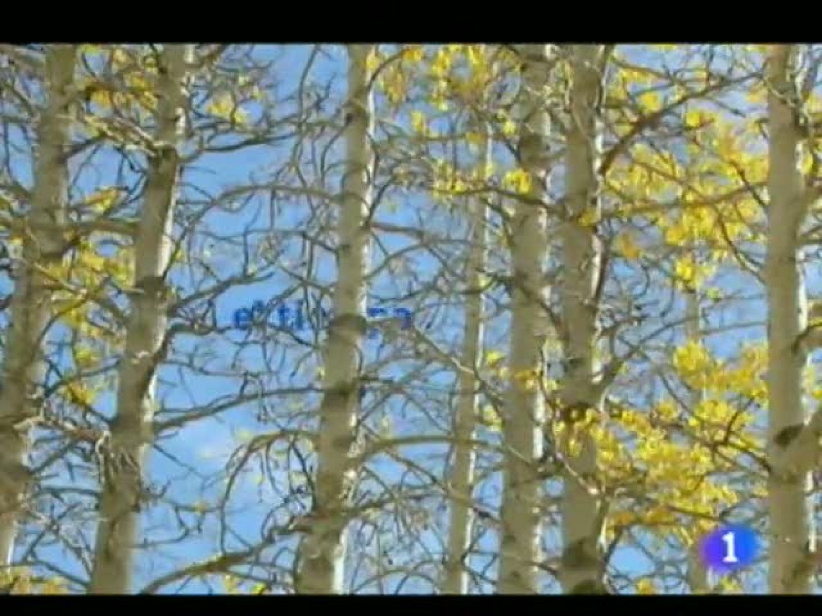 El tiempo en la Región de Murcia.(04/11/2011).